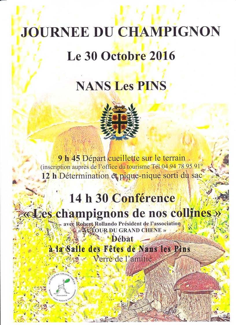 Journée du Champignon à Nans les Pins le 30 octobre 2016